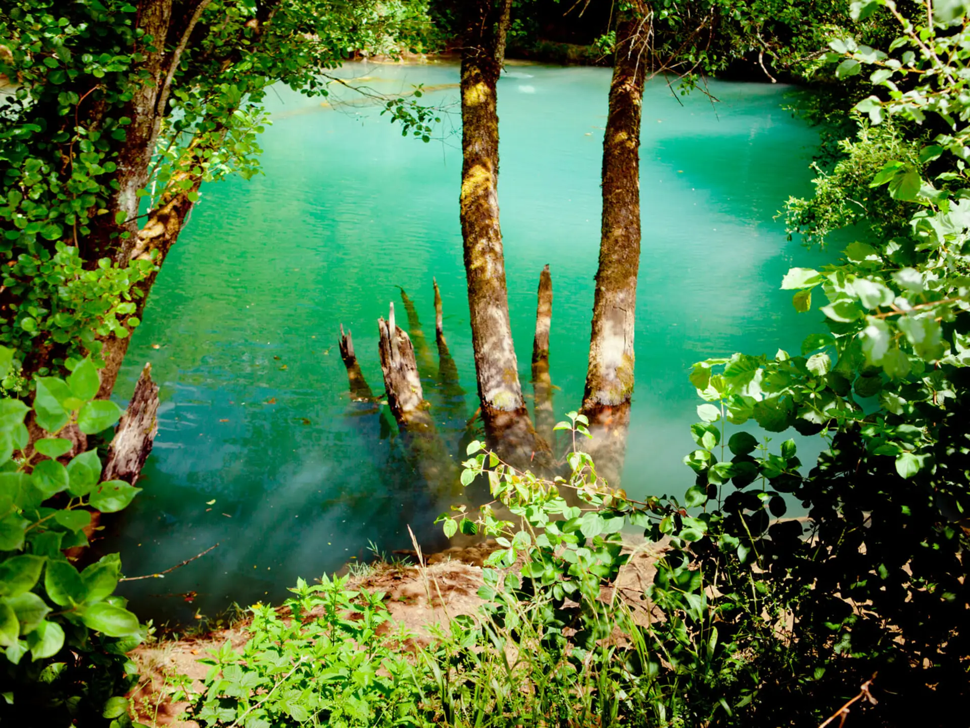 Turquoise river flowing through the landscape