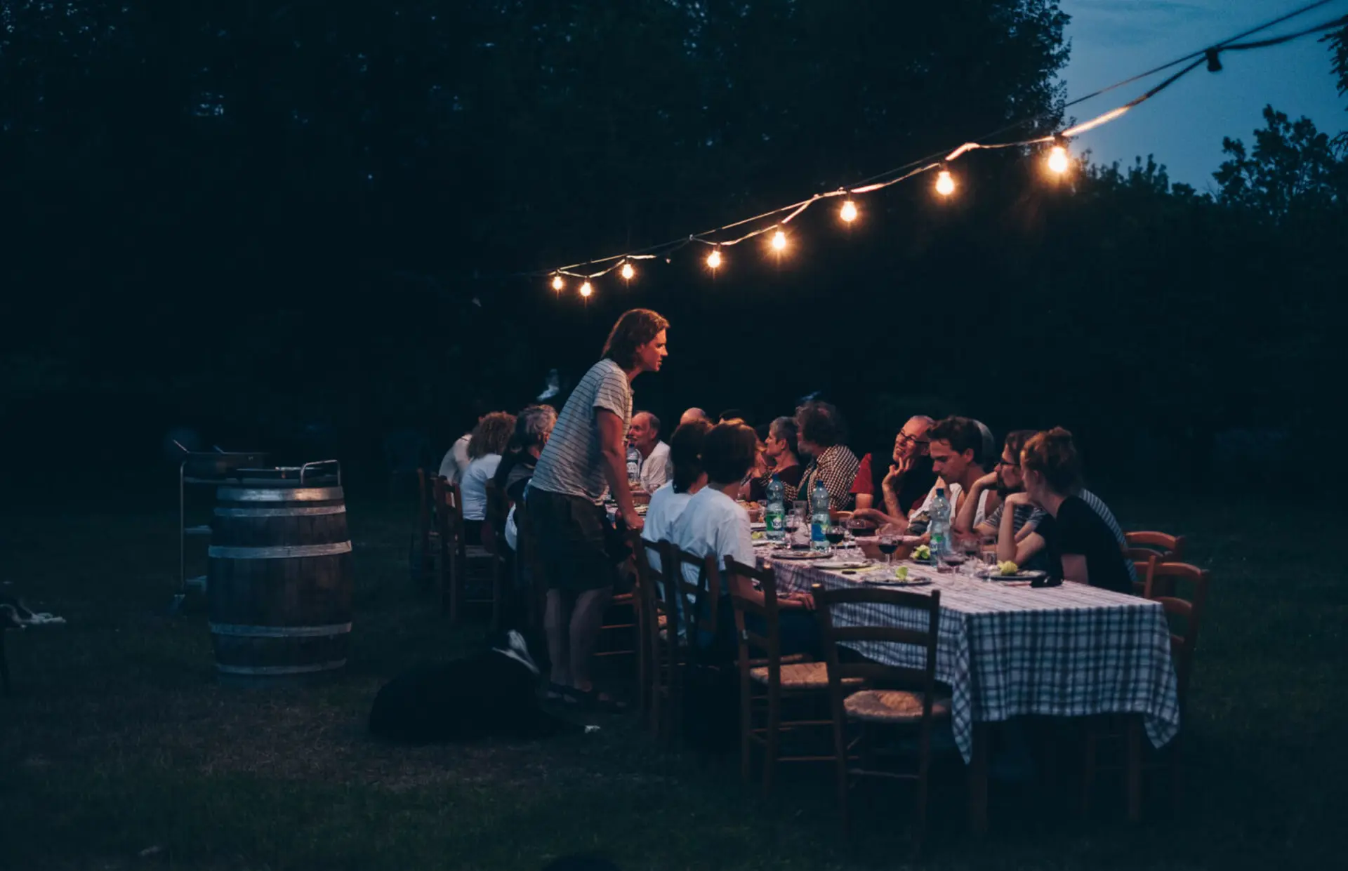 Outdoor dinner with string lights